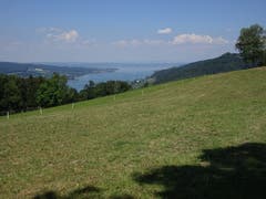 Panoramblick auf den Untersee kurz vor der Hochwacht oberhalb Klingenzell/Eschenz (Bild: Hubert Koch)