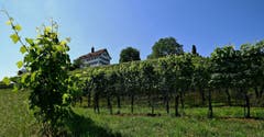 Schloss Dottenwil im Rebenland. (Bild: Walter Schmidt)