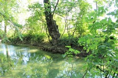 Aabach, Abfluss des Baldeggersees bei Richensee. (Bild: Josef Habermacher)