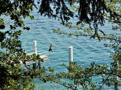 Die Vorfreude auf das kühle Nass war diesem mutigen Kerl bei dieser "Hitzewelle" wirklich anzusehen. Fotografiert bei der Schifflände Meggenhorn. (Bild: Margrith Imhof-Röthlin (Meggen, 19. Juli 2018))