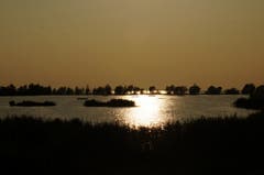 Sonnenuntergang am Bodensee im Gegenlicht. (Bild: Toni Sieber)