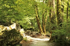 Es gibt viele Rastplätze durch die Teufelsschlucht. (Bild: Irene Wanner (Hagendorf, 19. Juli 2018))