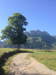 Die Äbnistettenflue im Entlebuch. (Bild: Fredi Meyer (Hasle, 20. Juli 2018))