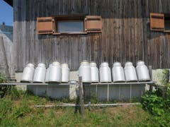 Bei der Käserei Chäserenholz auf der Rigi. (Bild: Regina Sapin (20. Juli 2018)