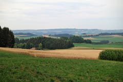 Lebhafte sommerliche Landschaft mit Lindenberg (Bild: Josef Habermacher (Rickenbach, 21. Juli 2018))