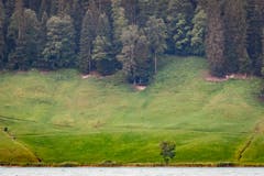 Der spätere Sieger Valentin Pfeil beim Durchrennen in Wilbrunnen (Bild: Christian H. Hildebrand (Oberägeri, 20. Juli 2018))