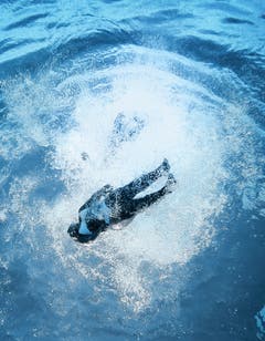 Teil 1: So sieht ein Sprung von unten aus: Unterwasseraufnahmen in der Badi Wittenbach. (Bild: Michel Canonica/Benjamin Manser)