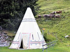 Fragende Gesichter: Ist das unser neuer Stall. (Bild: Hans Steiner, Emmetten Stockhütte, 23. Juli 2018)