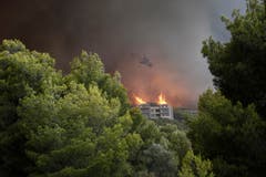 Die Flammen wüten in einem dicht bewaldeten Gebiet. (Bild: EPA/ Alexandros Vlachos (23. Juli 2018))