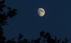 Der Mond ist aufgegangen (Bild: Daniel Hegglin)