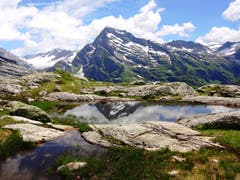 Oberhalb der Windgällenhütte im Maderanertal befindet sich das Pucherseeli mit Blick zum Düssistock und dem Hüfigletscher. (Bild: Martina Tresch, Bristen, 15. Juli 2018)
