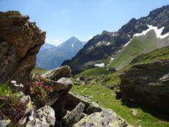 Blick vom Obersee Richtung Leutschachhütte. (Bild: Hans Truttmann, 18. Juli 2018)