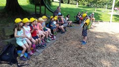 Die Kinder der Kita Knirps Meggen auf der Suche nach dem verlorenen Gold. (Lagerbild: Nicole Isenegger, Sonnenberg 25. Juli 2018)
