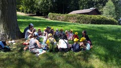 Die Kita Knirps Meggen beim Picknick im kühlen Schatten. (Lagerbild: Nicole Isenegger, Sonnenberg 25. Juli 2018)