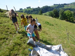 Die Mädchen des Reitferiencamps mit Maultieren müssen mitanpacken. (Lagerbild: Neeltje van den Ham Bölsterli, Willisau 25. Juli 2018)