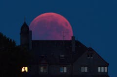 Und weitere Bilder aus der Welt: Bernkastel-Kues, Deutschland (Bild: Harald Tittel / AP)