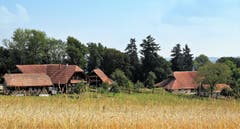 Heimatliche Idylle bei Vorlinig , Richenthal. So lieblich schön zeigen sich die Bauernhäuser im Hochsommer. (Bild: André Egli (Richenthal, 24. Juli 2018))