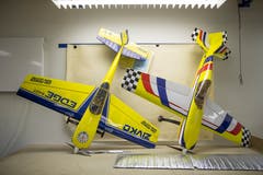 Modelle im Vereinslokal in Zell. (Bild: Manuela Jans-Koch, 19. Juli 2018)