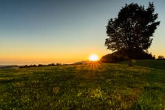 Sonnenaufgang auf dem Chapf. (Bild: Christian Wild)