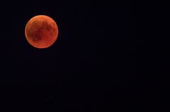 Auf dem Stählibuckturm oberhalb Frauenfeld bewundern Besucher die Blutmond-Finsternis. (Bild: Reto Martin)