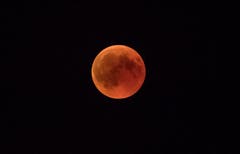 Auf dem Stählibuckturm oberhalb Frauenfeld bewundern Besucher die Blutmond-Finsternis. (Bild: Reto Martin)