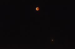 Der Mars begleitet den Blutmond, aufgenommen auf dem Oberlehn-Hoger in Menzberg (Leserbild: Peter Helfenstein).