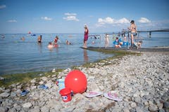 Das Wasser reicht normalerweise bis zur Mitte des Stegs. (Bild: Ralph Ribi)