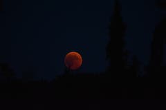 Von Buchrain aus fotografiert. Der Blutmond Aufgang über der Rigi. (Leserbild: Josef Stirnimann)