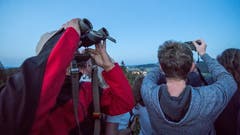 Auf dem Stählibuckturm oberhalb Frauenfeld bewundern Besucher die Blutmond-Finsternis. (Bild: Reto Martin)