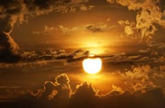 Stunden zuvor – beim legendären Vollmond – selig geschlafen. Nun aber wach bei der Vollsonne. (Bild: Georgette Baumgartner-Krieg)