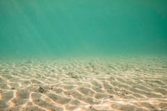 Fast wie am Meer. Sand am Grund des Zürichsees. (Claudia Schildknecht)