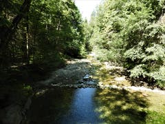Je stiller dieses Bächlein im Eigenthal bei dieser Trockenperiode wird, desto mehr kann man hören. Bild: Margrith Imhof-Röthlin (Eigenthal, 29. Juli 2018)