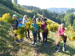 Die Weidepflege im Reitferiencamp mit Maultieren gibt zu tun. (Lagerbild: Neeltje van den Ham Bölsterli, Chanzelberg 28. Juli 2018)
