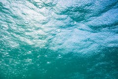 So sieht es vom Grund des Bodensees aus, wenn es regnet. (Claudia Schildknecht)