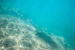 Der Walensee ist bei Tauchern sehr beliebt. An seiner tiefsten Stelle ist er 145 Meter tief. (Claudia Schildknecht)