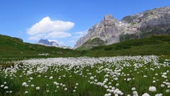 Schächentaler Windgällen und Märcher Stöckli. Bild: Max Reinli (Klausenpass, 30. Juli 2018)