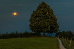 Ende der Showtime, der Mond geht unter auf dem Chapf, St. Gallen. (Bild: Christian Wild)