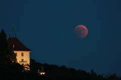 Hitzkirch. Bild: Herbert Heggli