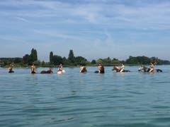 Pferde und Reiter geniessen ein Bad im Bodensee bei Frasnacht (Bild: Roman Weibel)