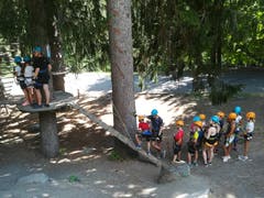 Das Sommerlager Reiden sucht Schatten im Wald.