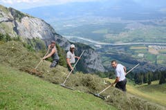 Landwirt Ruedi Bühler (Mitte) wird beim Wildheuen von Bruder Ueli Bühler (rechts) und Stefan Zurfluh unterstützt.