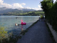 Langer Uferweg von Spiez bis Faulensee. (Bild: Josef Müller)