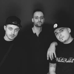 Physical Shock, CH, Skyline Stages, Freitag, 14.40 bis 15.40 Uhr. (Bild: PD)