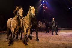 Maycol Errani zeigt eine Dressur mit sechs Andalusiern und sechs Friesen. (Bild: Melanie Duchene / Keystone (Rapperswil, 15. März 2018))
