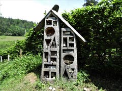 Hier im Eigenthal war bestimmt ein grosser Insekten-Liebhaber an diesem wunderschönen, feudalen «Insektenhotel» am Werk. (Bild: Margrith Imhof-Röthlin)