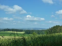Sommerlandschaft mit Moos und Lindenberg am Horizont, aufgenommen in Rickenbach. (Bild: Josef Habermacher)