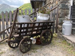 Wie zu alten Zeiten... Aufgenommen in Serfaus. (Bild: Regina Sapin)