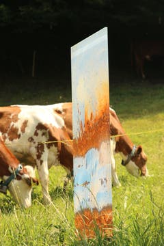 Kunst am Schlossberg. (Bild: Irene Wanner)