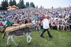 Die Alplerfamilie Rickenbach bei ihrem traditionellen Alpaufzug durch die Schwingerarena. (Bild: Urs Flüeler/Keystone (Rigi, 8. Juli 2008))