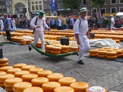 Der Käsemarkt in Alkmaar, Holland ist eine Touristenattraktion. (Bild: Hans Scheidegger)